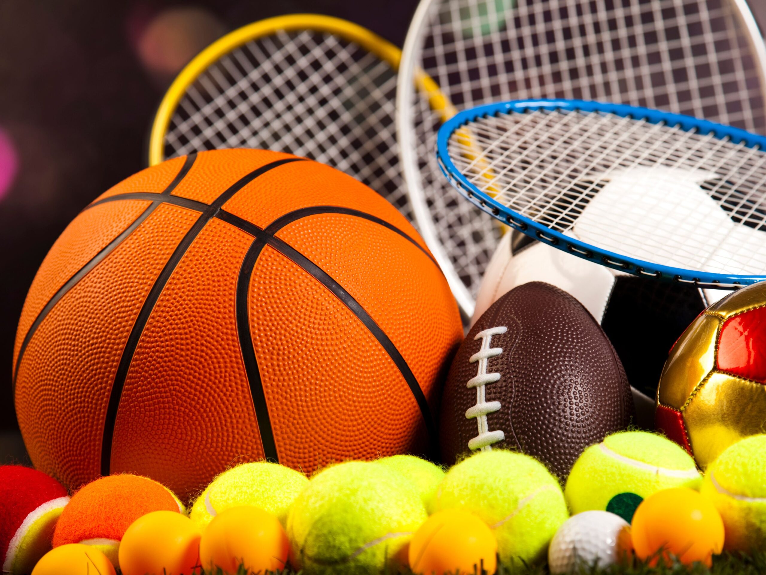 Professional Sports Team
