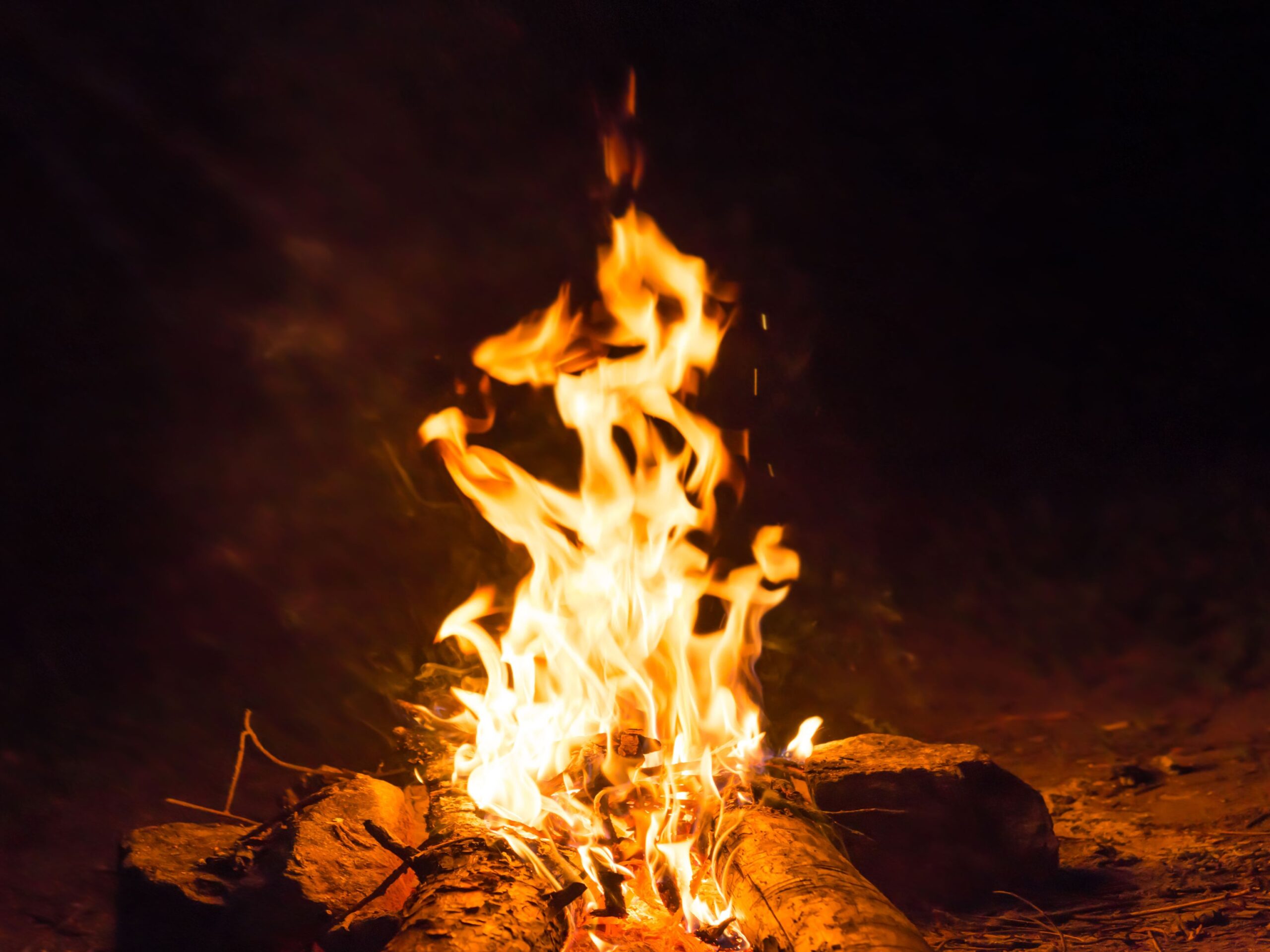 Summercamp for Adults